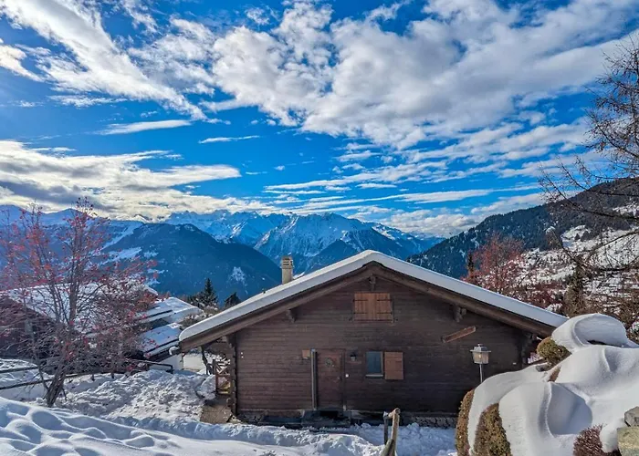 Daire Appartement-chalet A Pres Des Pistes